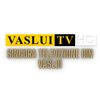 vasluitv
