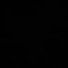 fatimatormos3