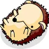幸せのハリネズミ