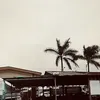 🌊