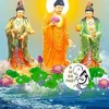 khongtoan5