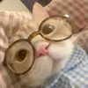 moxikie