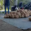 ajudankia07