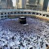 user4787091469038