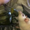 knpnewkn