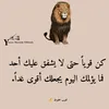 user2269317287005