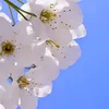 jt_4z