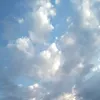 soltero.sin.apuro4690