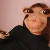 ludmii.mica