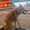 娛樂玩家