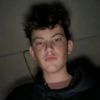 alvinenns