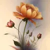 user2159611982693