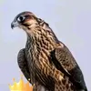 user1330966176115
