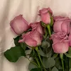 noor_ghdeer.15