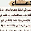 bouzainemazouni