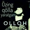 ahmad_ali0704