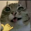 iwantinvisname
