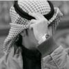 _s.w33