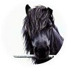 theponyhoarder