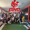 ginotrainer