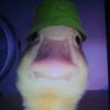 playboy_fkt