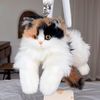 catbagg