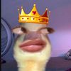 sherenabigell