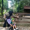 ibuk.raynar