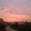 user931132052
