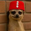 bankzworld4real