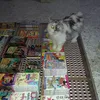norasmahabdullah0