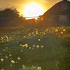 nanana_2809