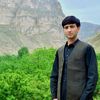 shamrizhashemi