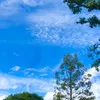 Tiệm Tạp Hoá Sammi