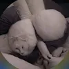 5_5m60