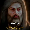 afhk69586he