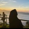 _dindaaw_
