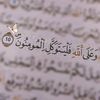 menna_12_13
