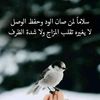 user2829586138534