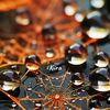 kirah429