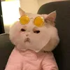 ngoc_ha6996