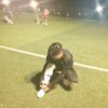 jacobalexy