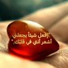 nona.7479