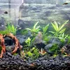 fantasyaquascape