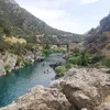 dolamari052