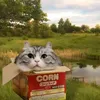 aleksandrsamofal0v