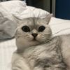user1483121308861