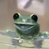 frogkamii