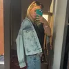 cenzatocarolina