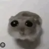 cooldiamondplays